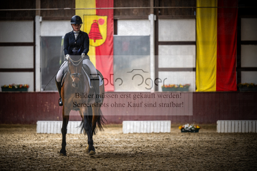 DOS_3574 | Reitturnier Lüdinghausen - Realisiert mit Pictrs.com