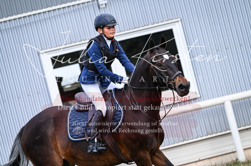 DSC_8239 | Pferde- und Turnierfotografie in Westsachsen. Pferdeportraits, Auftragszeichnungen und intuitive Kunst.