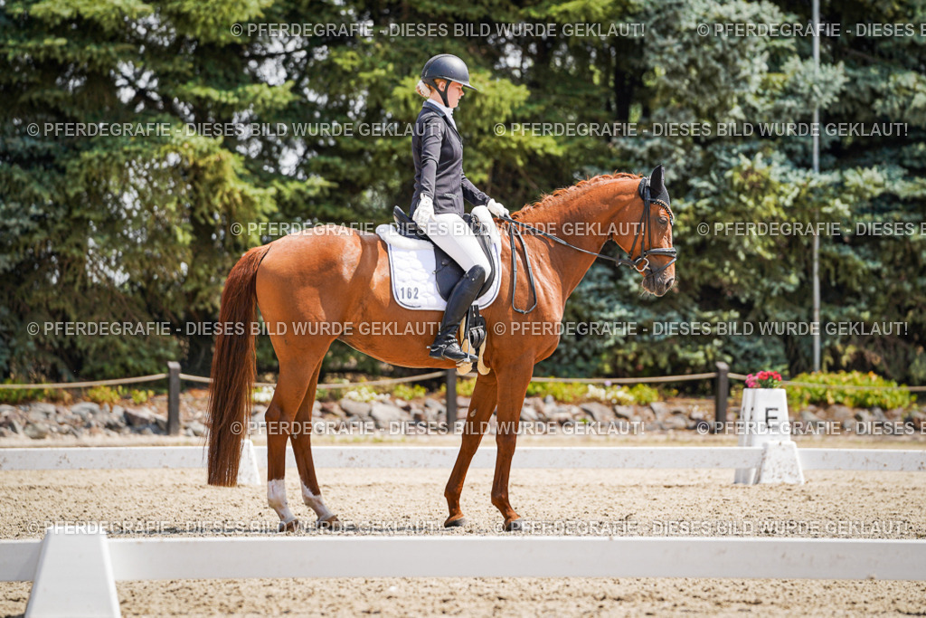 DSC00829 | Pferdegrafie