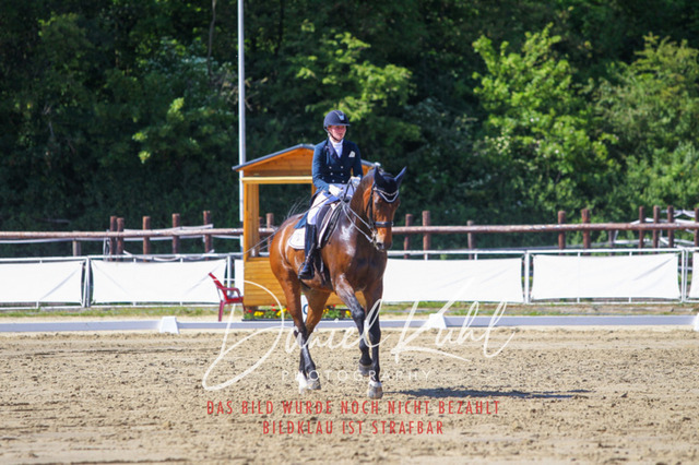 DKP42430 | Turniersportfotografie; Pferdefotografie; Dressurfotografie