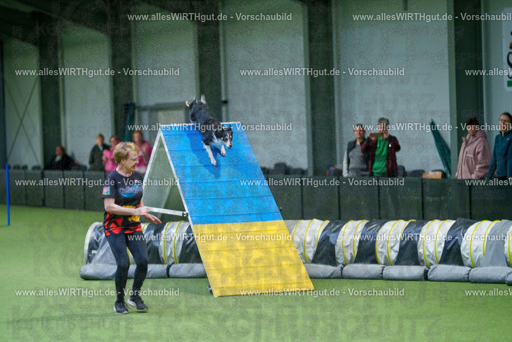 @allesWIRTHgut_Tierfotografie - www.allesWIRTHgut.de - 2604250815-7R505931 | Professionelle Tierfotografie in Mönchengladbach von Daniel Wirth (allesWIRTHgut). Liebevolle & natürliche Bilder von Hunden & Katzen für unvergessliche Erinnerungen.