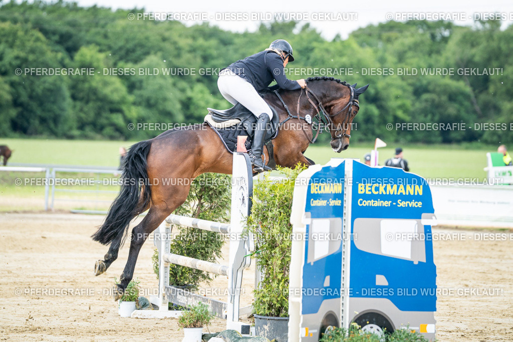 DSC04205 | Pferdegrafie