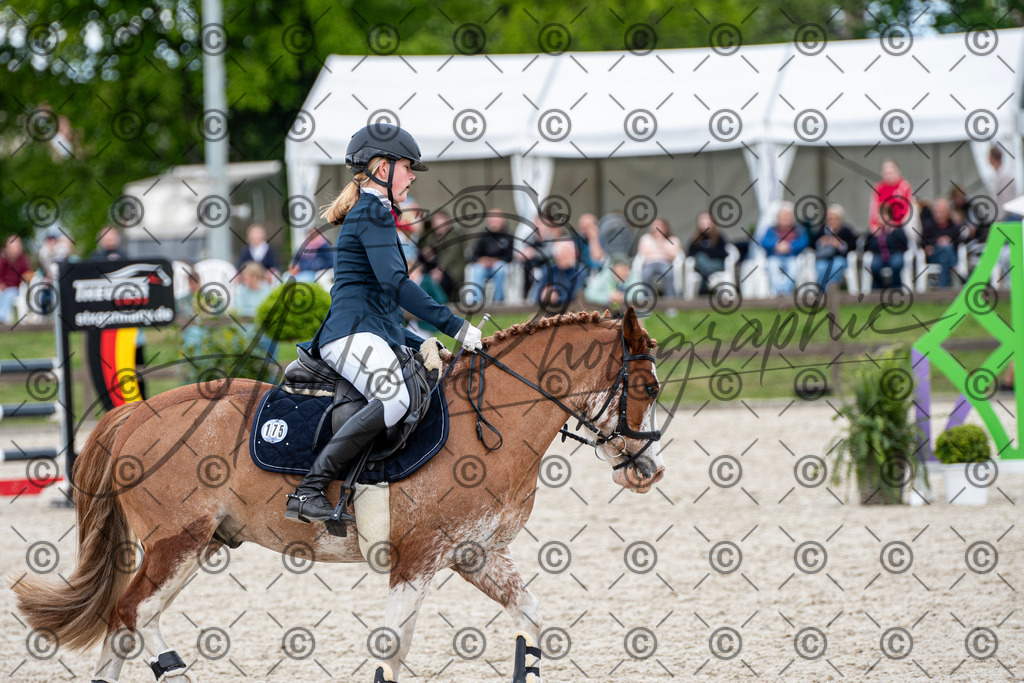 KPT_6419 | andre_photographic