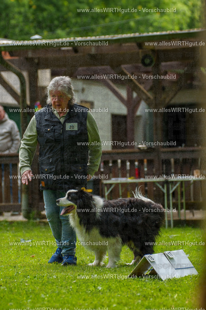 @allesWIRTHgut_Tierfotografie - www.allesWIRTHgut.de - 093933-7R507461 | Professionelle Tierfotografie in Mönchengladbach von Daniel Wirth (allesWIRTHgut). Liebevolle & natürliche Bilder von Hunden & Katzen für unvergessliche Erinnerungen.