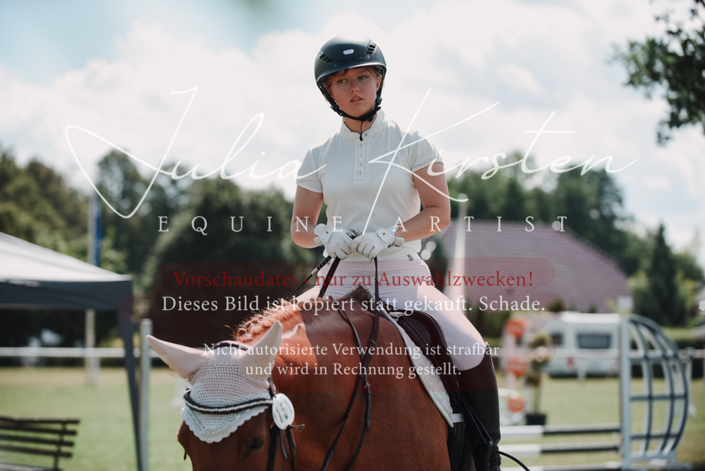 DSC_5796 | Pferde- und Turnierfotografie in Westsachsen. Pferdeportraits, Auftragszeichnungen und intuitive Kunst.