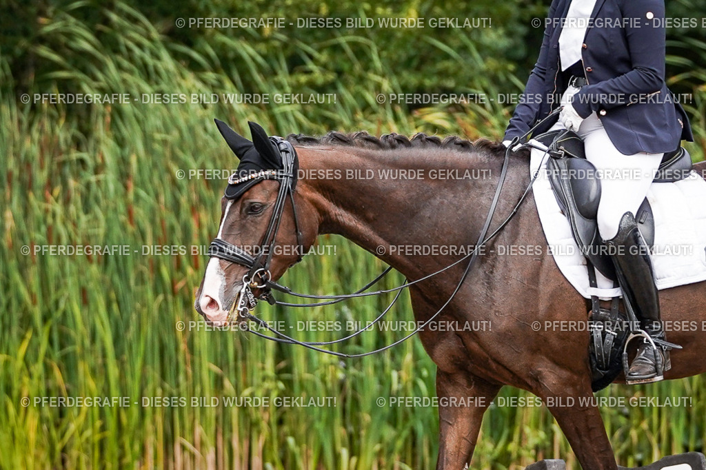 DSC04033 | Pferdegrafie