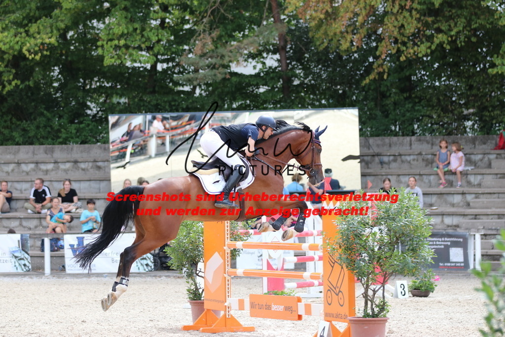 IMG_0312 | lmwpictures - Realisiert mit Pictrs.com