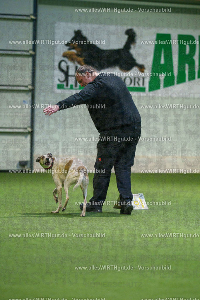 7R505333 | Professionelle Tierfotografie in Mönchengladbach von Daniel Wirth (allesWIRTHgut). Liebevolle & natürliche Bilder von Hunden & Katzen für unvergessliche Erinnerungen.