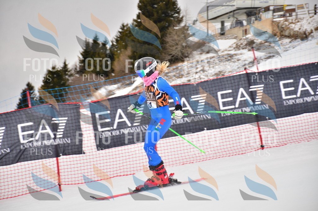 VR4_3019 | holidayphoto