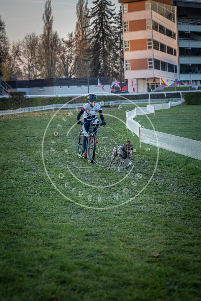CaniXpix_0L8A0886 | Hundefotografie, Tierfotograf, Pfotenfotografie, Fotoshooting Hund, Hunde Portrait, Hundesport, Hundeportraits, Heideshooting, Hunde, Sportfotograf, Hundefotograf, Turnierhundsport, THS,  - Realisiert mit Pictrs.com