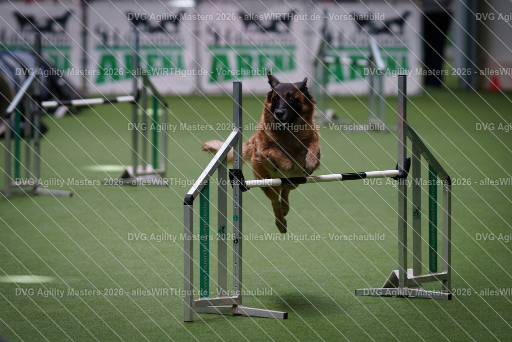 allesWIRTHgut_Tierfotografie-DVG_Agility_Masters_2026-09_34-7R502090 | Professionelle Tierfotografie in Mönchengladbach von Daniel Wirth (allesWIRTHgut). Liebevolle & natürliche Bilder von Hunden & Katzen für unvergessliche Erinnerungen.