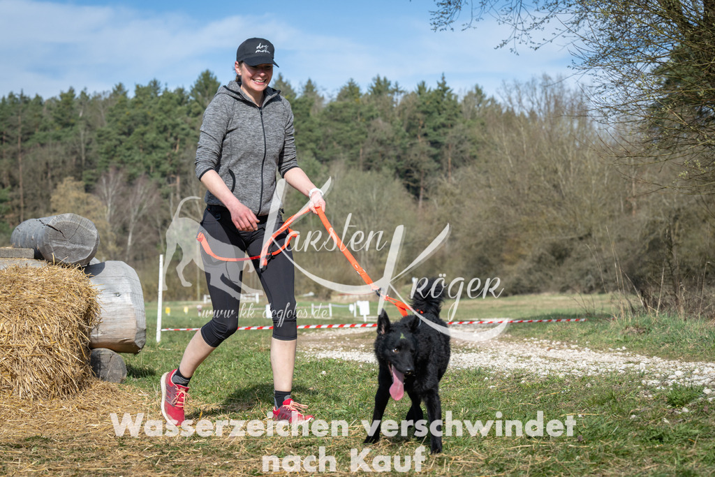 0953_ZZ97171 | kk-dogfotos