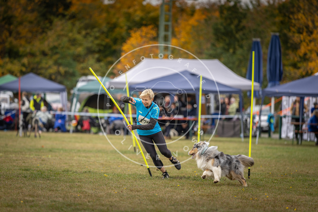 Pfotenfotografie_DV3A5775 | Hundefotografie, Tierfotograf, Pfotenfotografie, Fotoshooting Hund, Hunde Portrait, Hundesport, Hundeportraits, Heideshooting, Hunde, Sportfotograf, Hundefotograf, Turnierhundsport, THS,  - Realisiert mit Pictrs.com