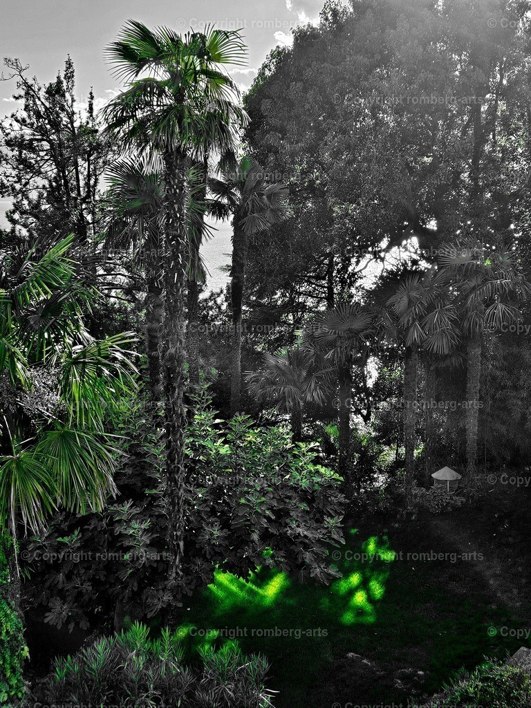 20241112_133146 | romberg-arts, romberg-arts.de, www.romberg-arts.de, Foto_Online_Shop, Julia Fuhrmann, Köln, Fotos, Fotografie, Fotokunst, Kunstdrucke, Naturfotos, Aktfotos, Nacktfotos, schwarz_weiß_Fotos, Blumenfotos, Blumen, Tiere, Beton, Korrosion, Lächeln, Drucke