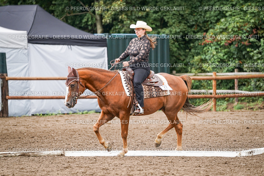 DSC04013 | Pferdegrafie