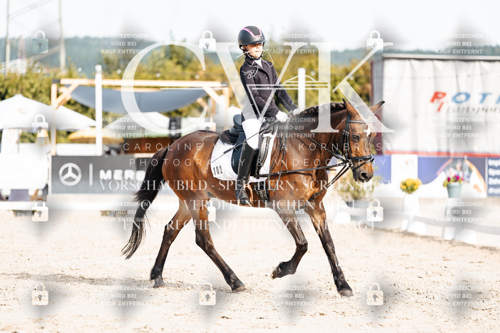 CK904794 | Turnierfotografie Pferdefotografie Trier Rheinland-Pfalz Pferdesport Reitsport Tierfotografie Sportfotografie Pferdevideo Pferdevideografie Equestrianvideography equestrianphotography  - Realisiert mit Pictrs.com