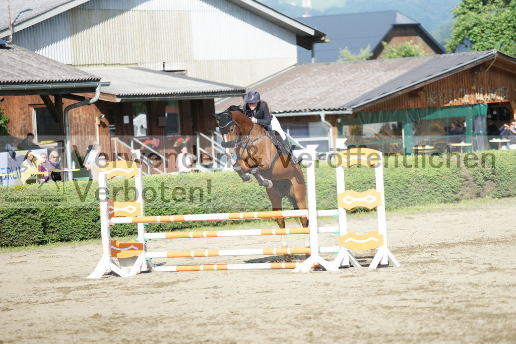 DSC05567 | equestrian-live-com