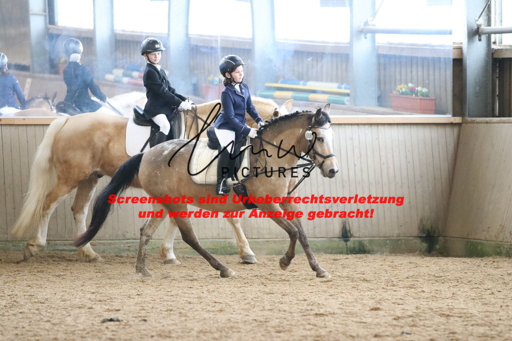 IMG_4875 | lmwpictures - Realisiert mit Pictrs.com