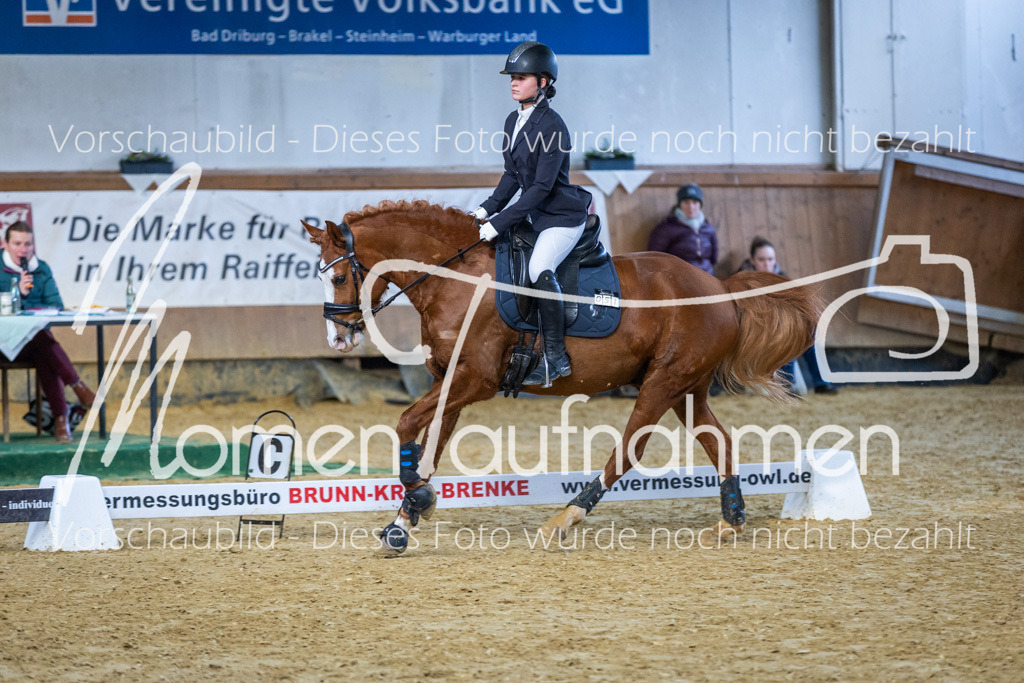 Sth-WBO25-RW2Spr-066 | MomenTaufnahmen Pferdesportfotos