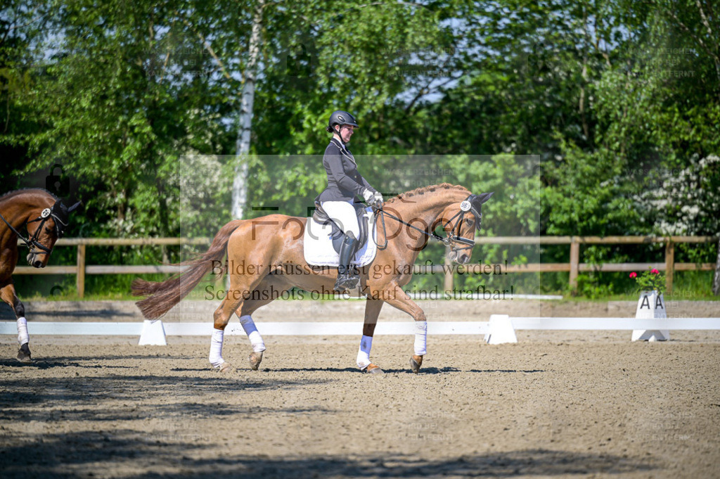 Reitturnier Lienen | Entdecke hochwertige Reitturnierfotos von Foto Oger. Professionell, emotional und authentisch – jetzt Lieblingsmomente im Shop bestellen. - Realisiert mit Pictrs.com