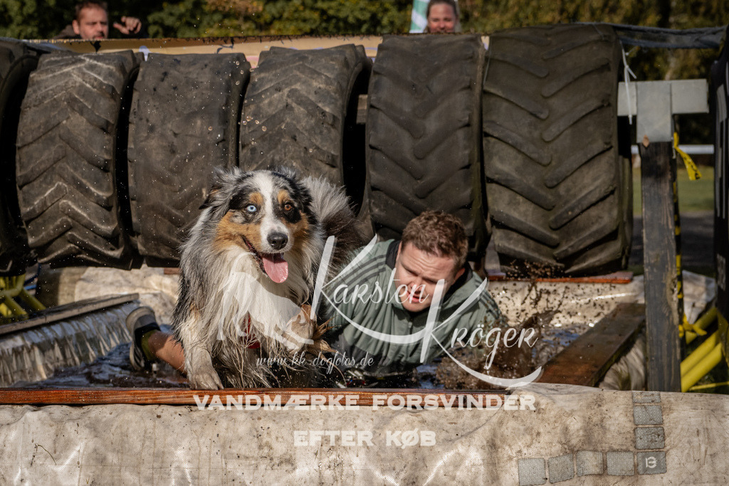 1342_ZZ92849 | kk-dogfotos