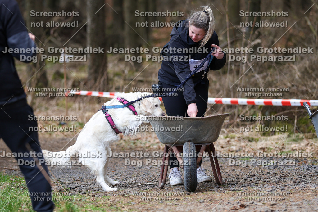 Dog Paparazzi - VCC26-865 | Dog Paparazzi Jeanette Grottendiek Fotografie & Videografie - Realisiert mit Pictrs.com