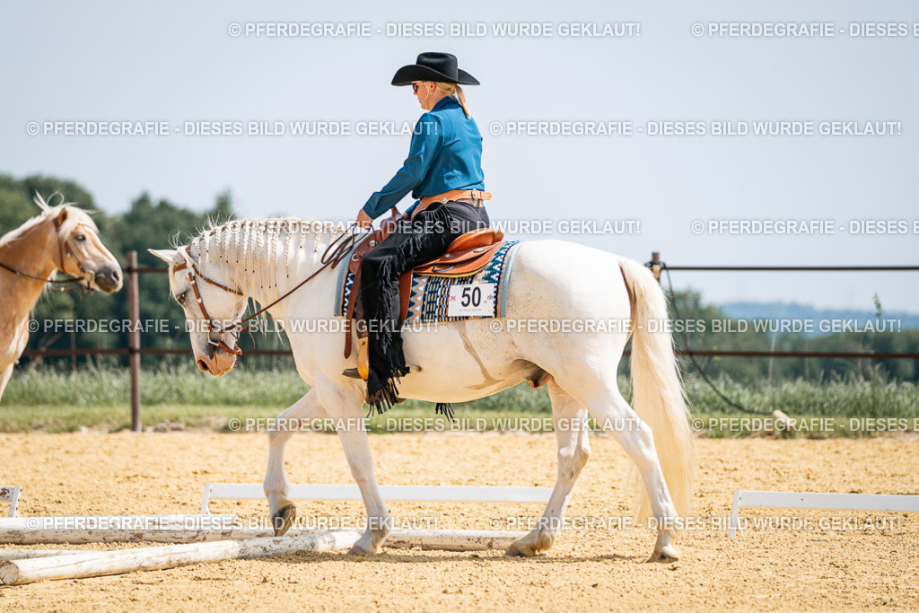 DSC00099 | Pferdegrafie