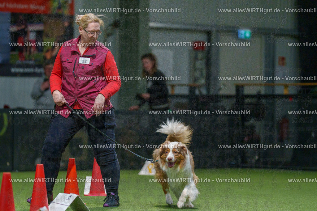 7R505264 | Professionelle Tierfotografie in Mönchengladbach von Daniel Wirth (allesWIRTHgut). Liebevolle & natürliche Bilder von Hunden & Katzen für unvergessliche Erinnerungen.