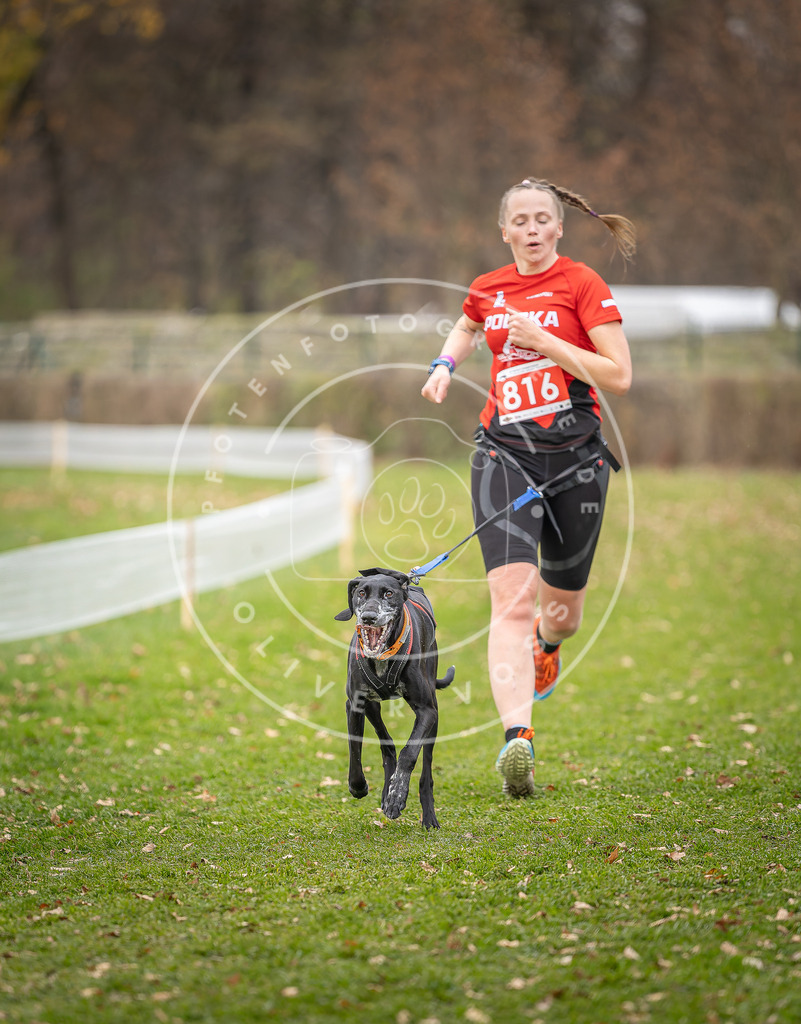 CaniXpix_DV3A6505 | Hundefotografie, Tierfotograf, Pfotenfotografie, Fotoshooting Hund, Hunde Portrait, Hundesport, Hundeportraits, Heideshooting, Hunde, Sportfotograf, Hundefotograf, Turnierhundsport, THS,  - Realisiert mit Pictrs.com