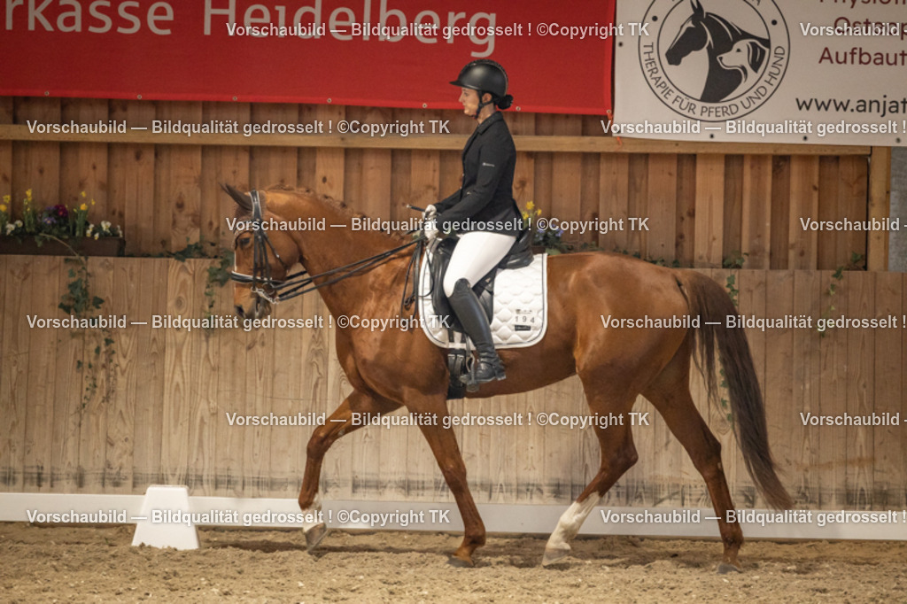 _D5A9709 | Emotionale Pferde- & People-Fotografie rund um Heidelberg, Leimen & Umgebung. Natürliche Fotos von Pferd, Mensch & Familie. Jetzt Termin sichern!