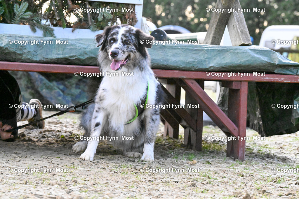 DSC_3262 | Hallo und herzlich Willkommen auf meiner Shop-Seite Fynn Most.

Ich wünsche Dir viel Spaß beim stöbern durch die Bilder, wenn Du Fragen hast oder Bilder vermisst, kannst du mir gerne eine Nachricht schreiben. - Realisiert mit Pictrs.com