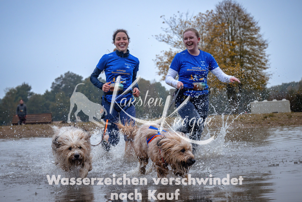 0940_ZZ95699 | kk-dogfotos