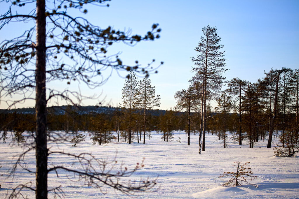 Am Polarkkreis 2 | Ich erzähle Geschichten als Autor und als Fotograf. Hier finden Sie hochwertige Naturfotografie, Reisefotografien und Bilder aus dem urbanen Lebensraum.  - Realisiert mit Pictrs.com