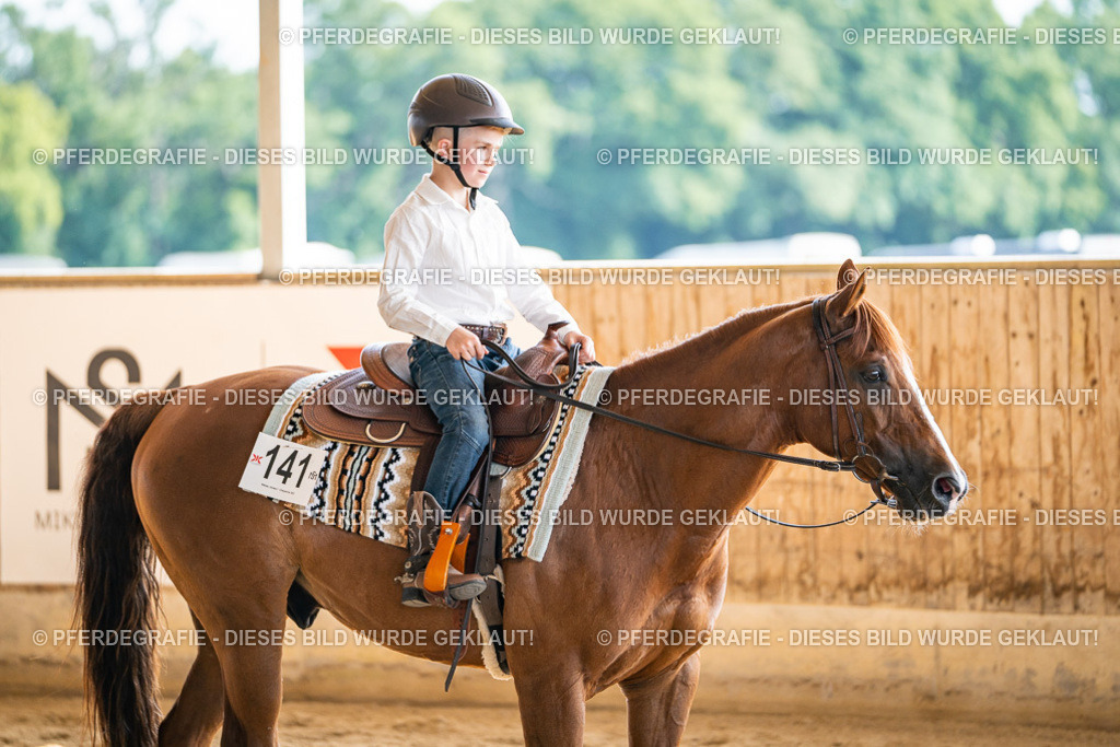 DSC09090 | Pferdegrafie