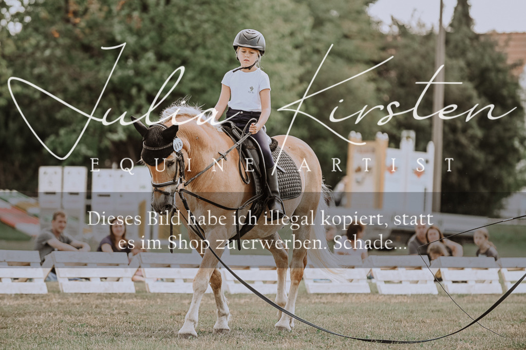 DSC_7660 | Pferde- und Turnierfotografie in Westsachsen. Pferdeportraits, Auftragszeichnungen und intuitive Kunst.