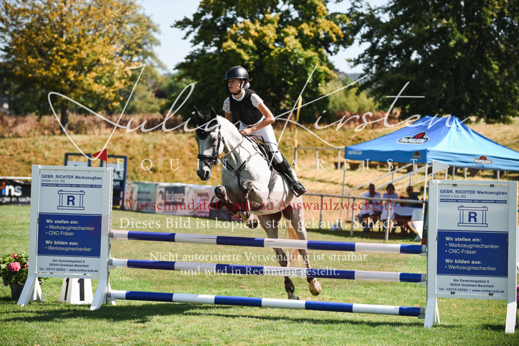 DSC_2902 | Pferde- und Turnierfotografie in Westsachsen. Pferdeportraits, Auftragszeichnungen und intuitive Kunst.