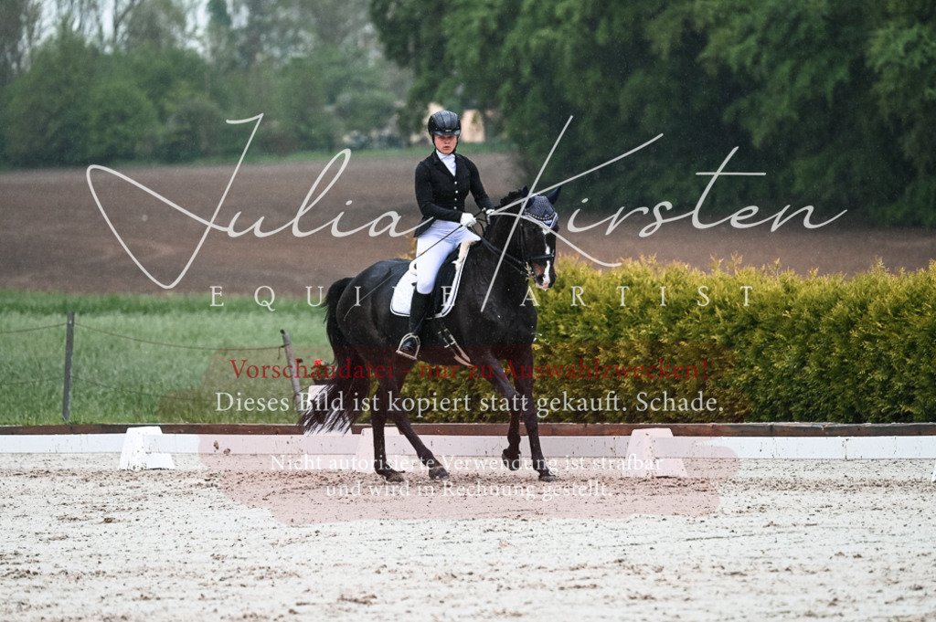 DSC_4509 | Pferde- und Turnierfotografie in Westsachsen. Pferdeportraits, Auftragszeichnungen und intuitive Kunst.