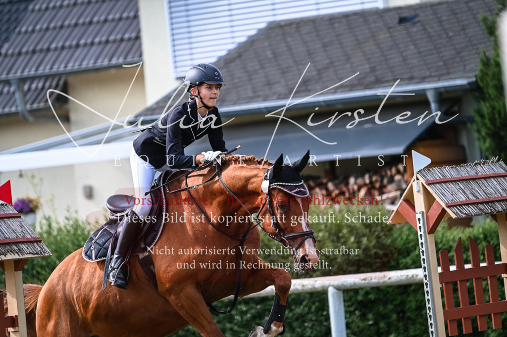 DSC_7964 | Pferde- und Turnierfotografie in Westsachsen. Pferdeportraits, Auftragszeichnungen und intuitive Kunst.