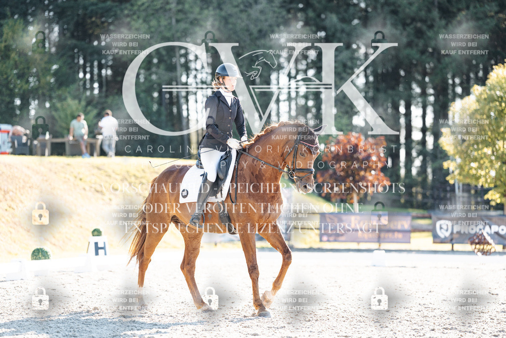 CK906692 | Turnierfotografie Pferdefotografie Trier Rheinland-Pfalz Pferdesport Reitsport Tierfotografie Sportfotografie Pferdevideo Pferdevideografie Equestrianvideography equestrianphotography  - Realisiert mit Pictrs.com