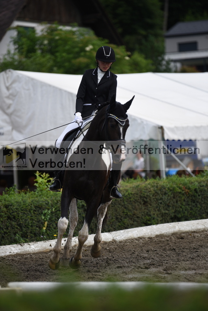 DSC_0731 | equestrian-live-com