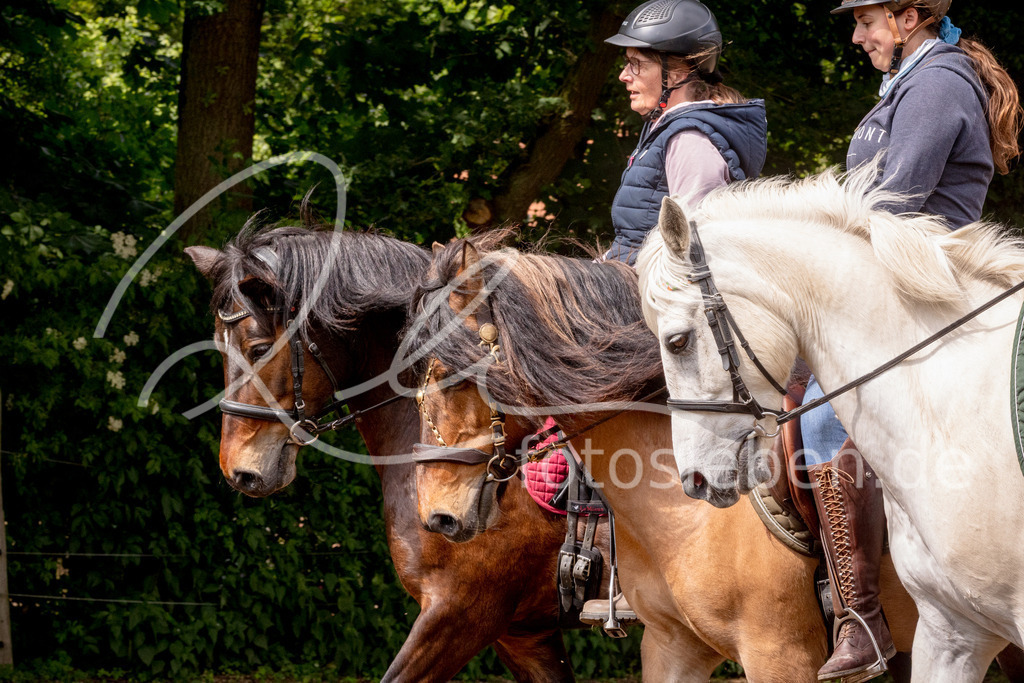 846A1020 | fotosleben - Realisiert mit Pictrs.com