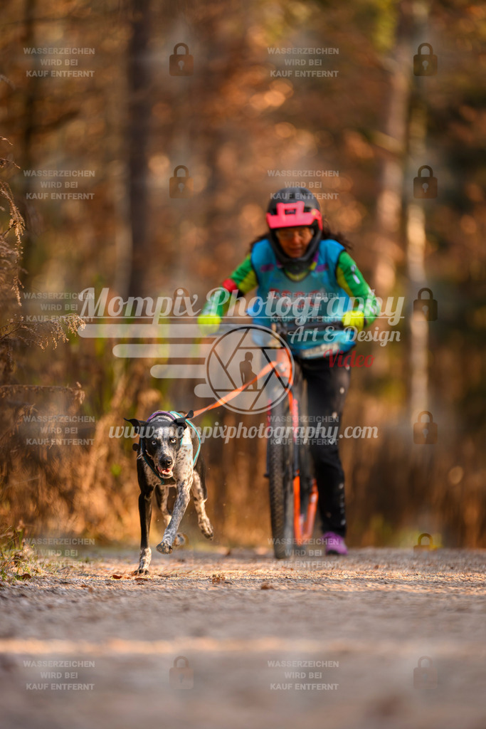 MompixPhotography_DM_AKDM_SO_2025_Scooter-202 | PayLife