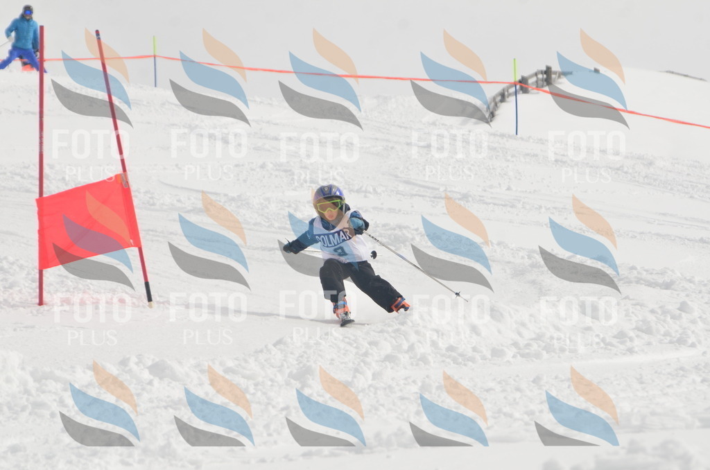 A5056 | holidayphoto