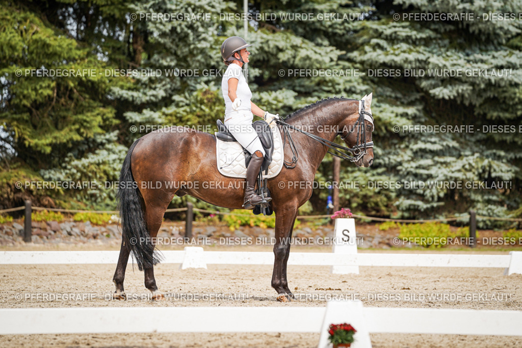 DSC06428 | Pferdegrafie