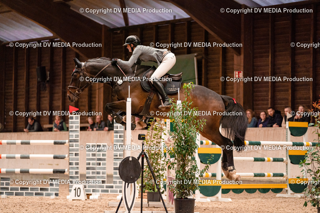 Springen Tag 3-368 | dv-media-shop - Realisiert mit Pictrs.com