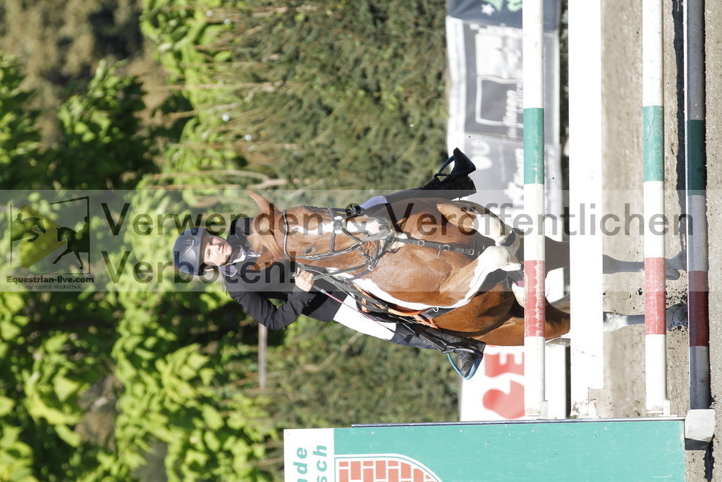 _MG_4882 | equestrian-live-com