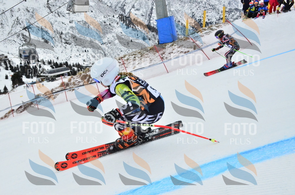 _ELE3251 | holidayphoto