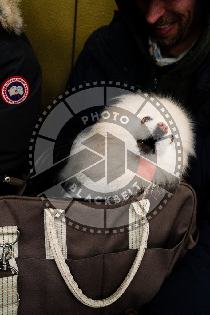 20251122PBB15512 | Athletes compete during the Grappling Industries Berlin Jiu-Jitsu and Grappling Championship, on November 22, 2025 in Berlin, Germany. © photoblackbelt