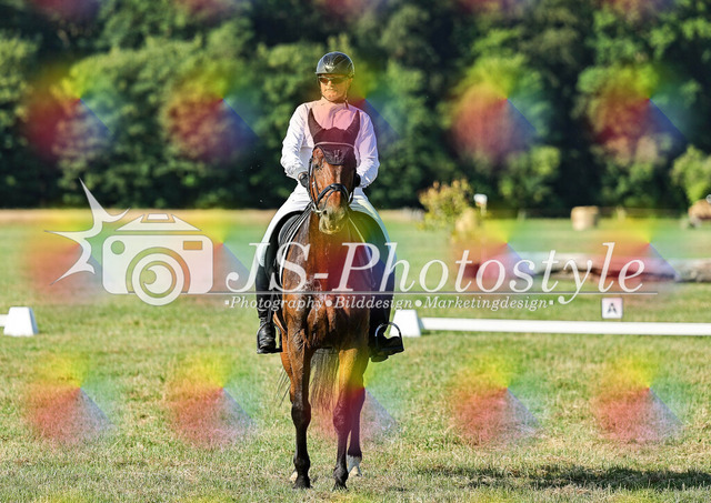 20260628_14a_VA_Dressur-42 | JS-Photostyle - Sport-/Portrait- & Eventfotografie