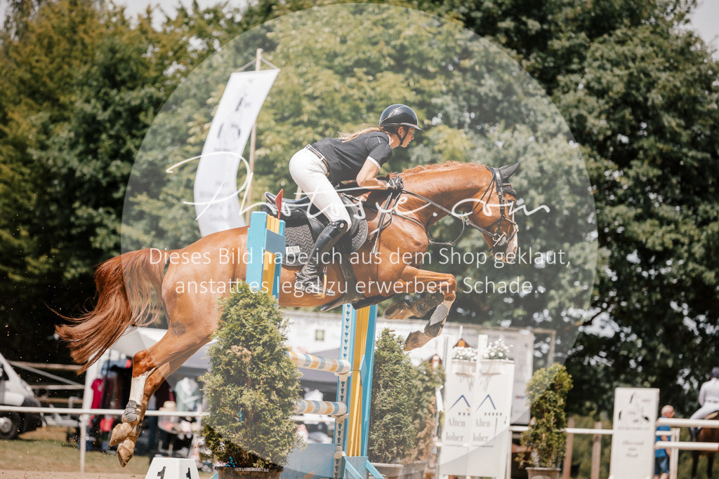 3I6A7934 | Stimmungsvolle Portraits und Reitsportfotografie im Ruhrgebiet und im Münsterland.

Pferdefotografie, Hundefotografie, Tierfotografie, Reportagen, Portraits von Tier und Mensch, Turnierfotografie in Bochum, Recklinghausen, Marl, Haltern am See, Dülmen.. - Realisiert mit Pictrs.com